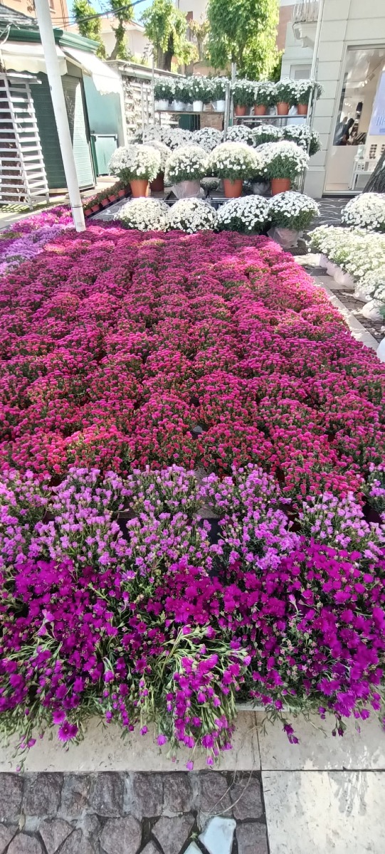 Galleria del 30/04/2026 10:37