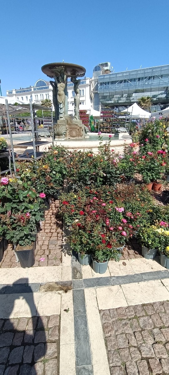 Galleria del 30/04/2026 10:37