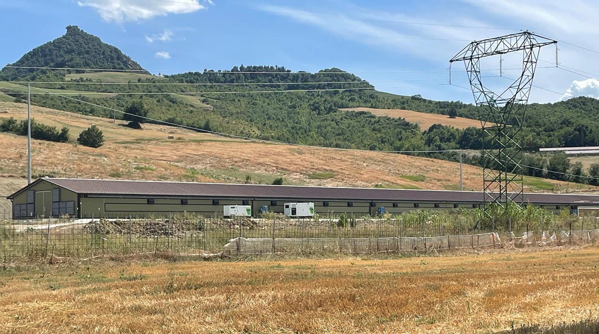Maiolo, interrogazione sul polo avicolo di Cavallara: chiesti chiarimenti sui controlli - 