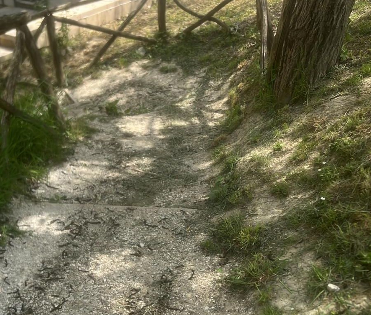 Montefiore Conca, il parco dietro la scuola elementare nel degrado: la denuncia dell’opposizione - 