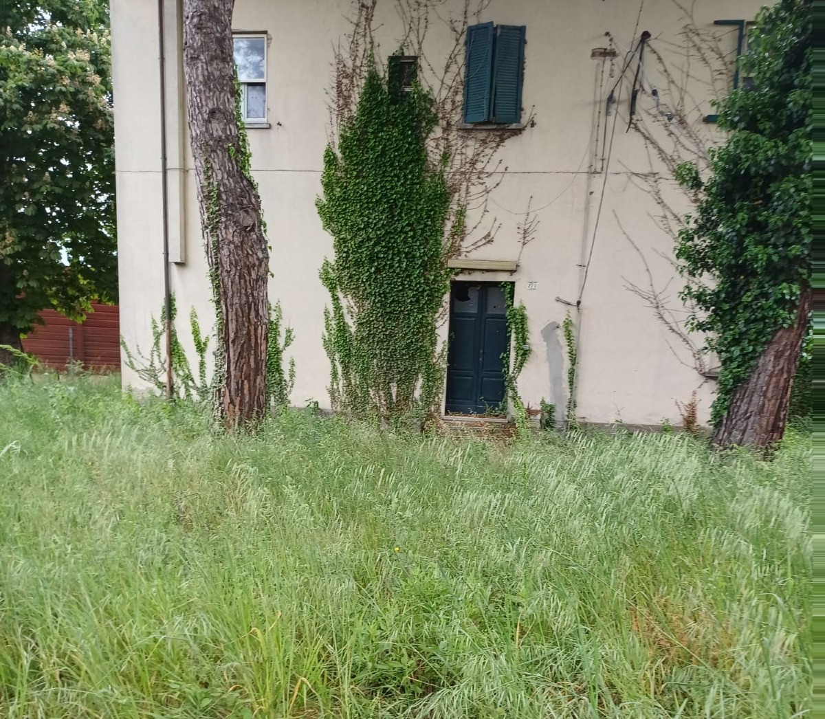 Degrado e pericoli alla ex scuola Ca’ Bruciate. La segnalazione - 