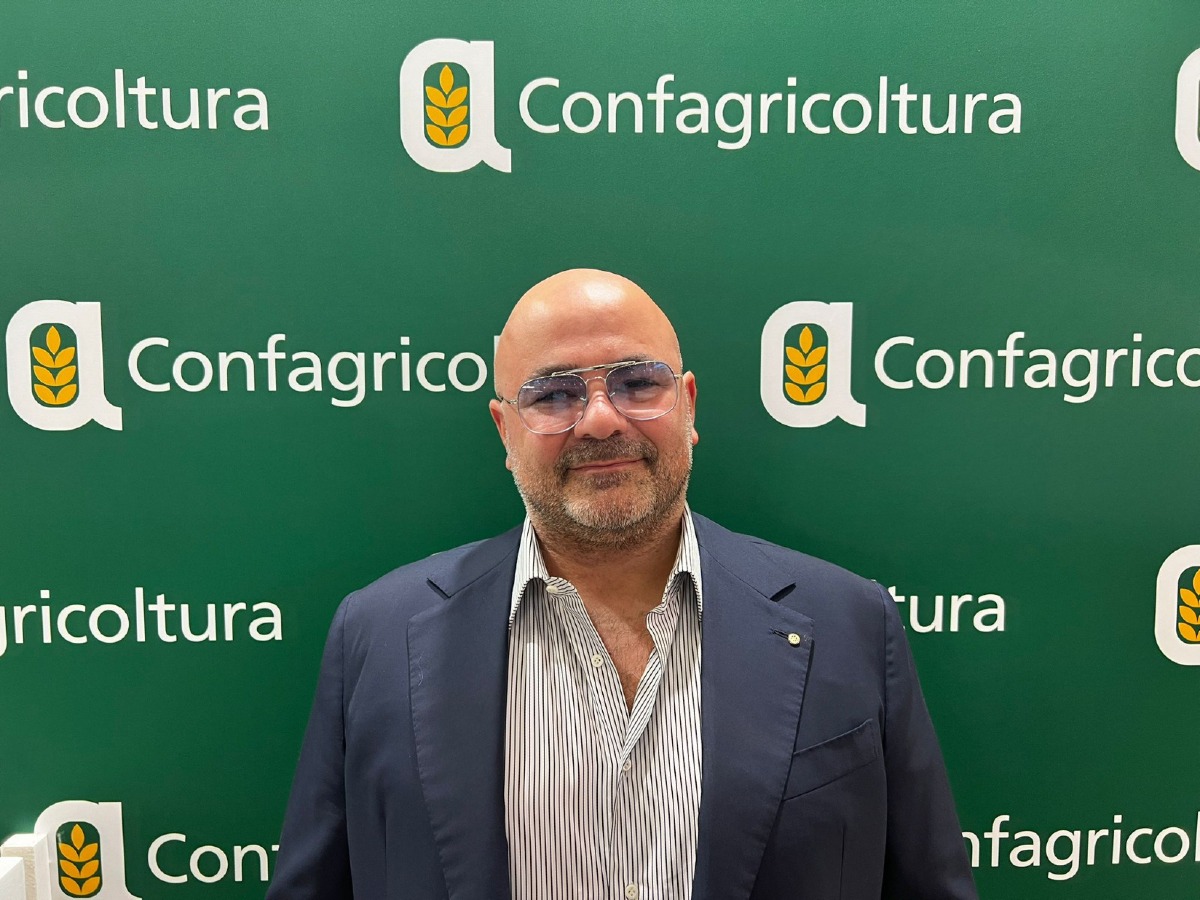 Orticoltura sotto pressione, Confagricoltura: “Rincari non imputabili agli agricoltori” - Matteo Brunelli