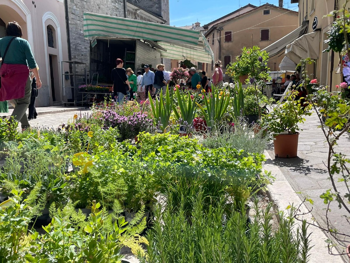 Pennabilli, il centro storico diventa un grande giardino con la Fiera del Mercato Verde - 