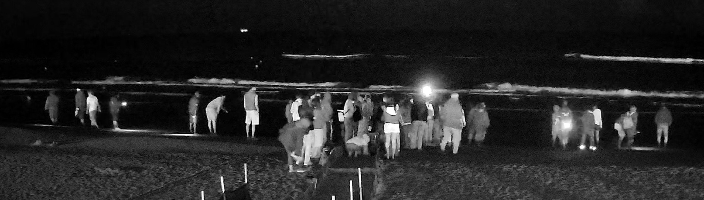 A Bellaria l’anteprima mondiale di “Un mare molto piccolo”, il documentario sul Delfinario di Rimini - 