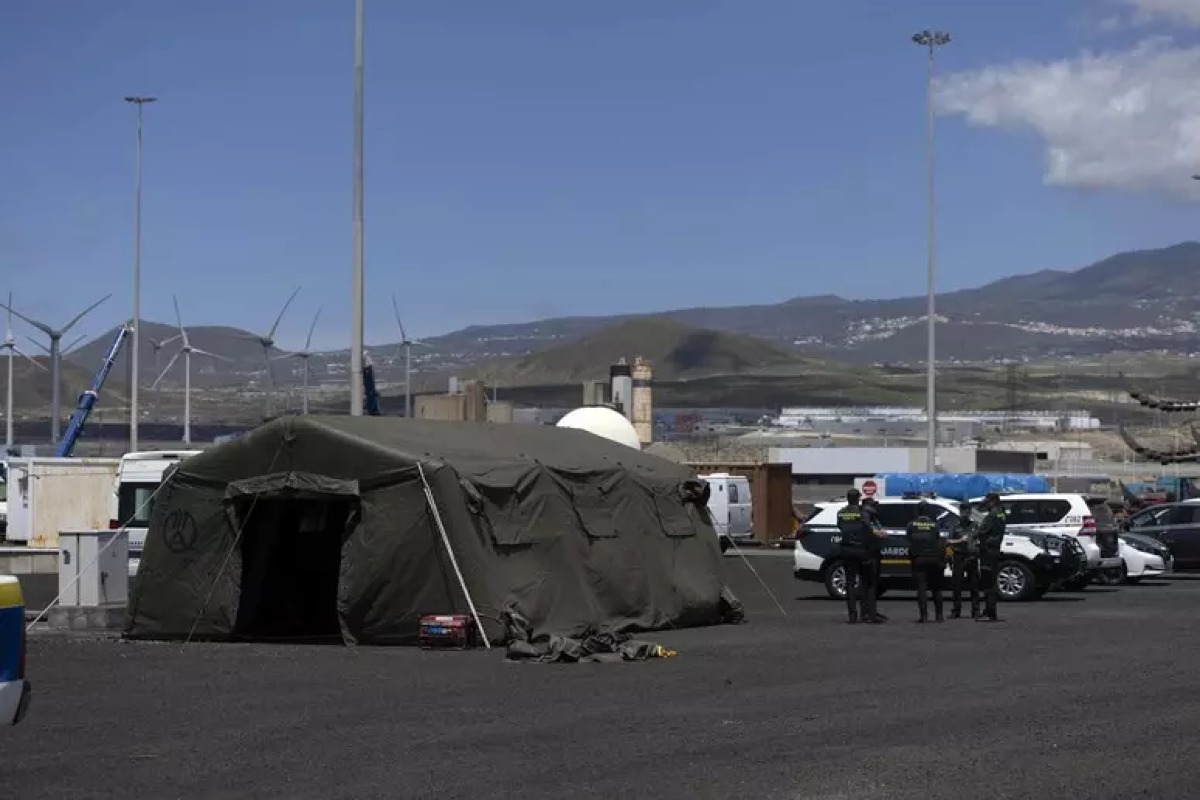 Entra nel porto di Tenerife la nave con focolaio di hantavirus: passeggeri asintomatici, avviato lo sbarco - 