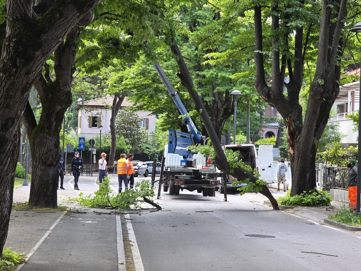 Riccione, vento forte abbatte una branca di tiglio davanti al Municipio - 
