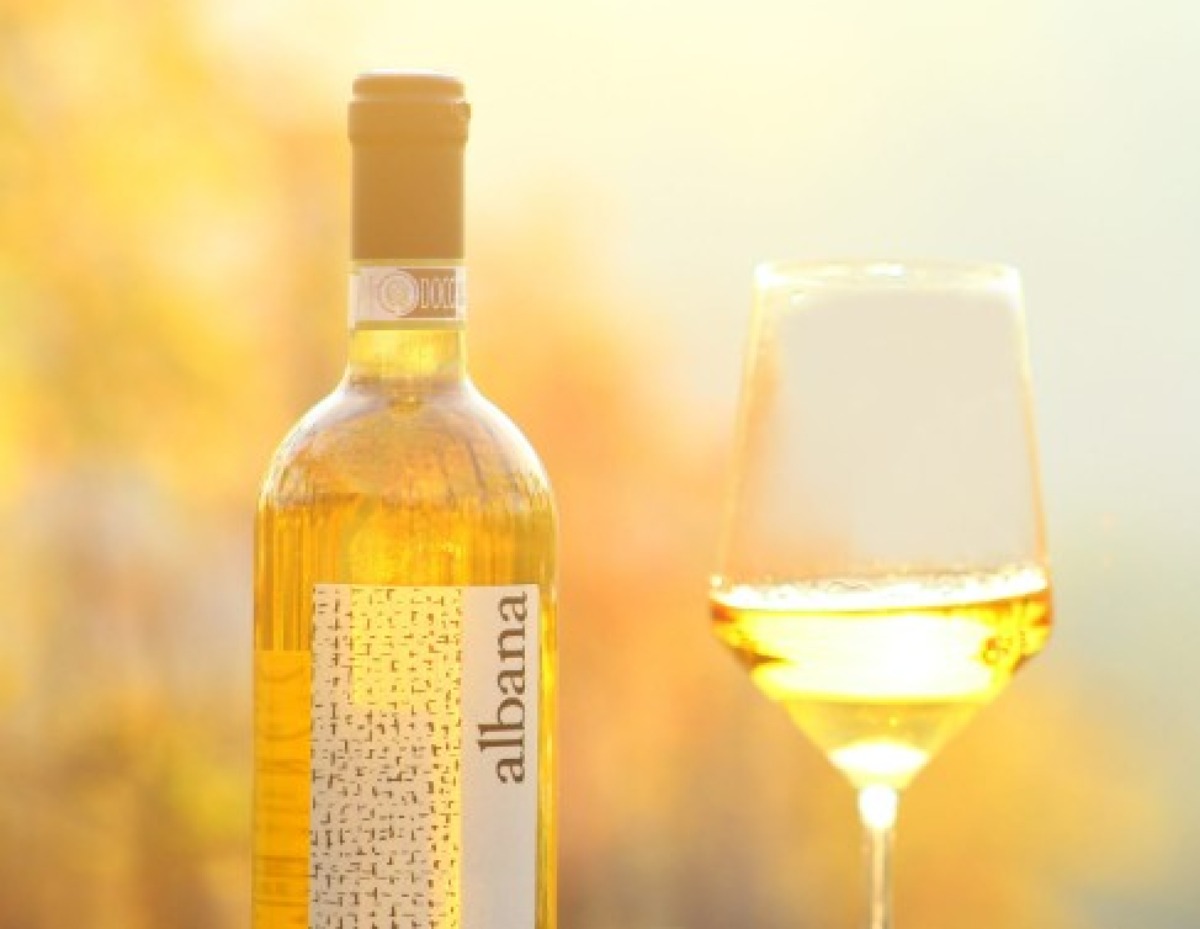 Calici e Battiti in Romagna con Epoca di Vino - 