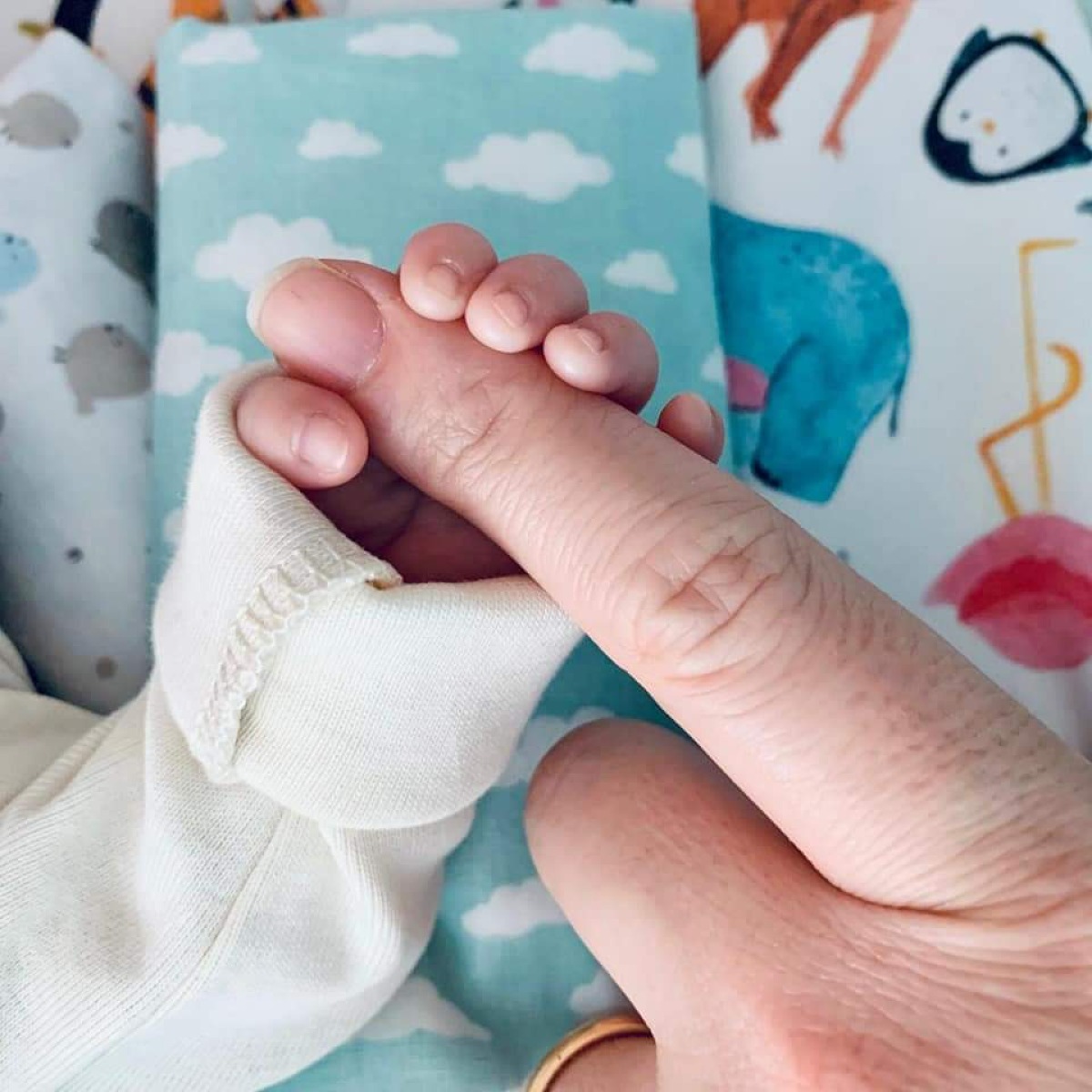 Rimini, all’Ospedale Infermi nasce “Il Mantello”: percorso di cure palliative per neonati e famiglie - 