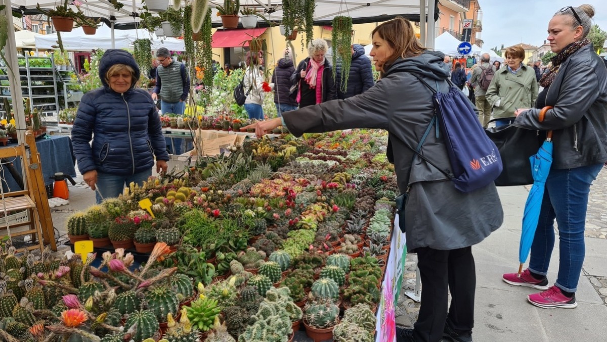Santarcangelo, Balconi Fioriti porta in città 30mila persone nonostante il meteo incerto - 
