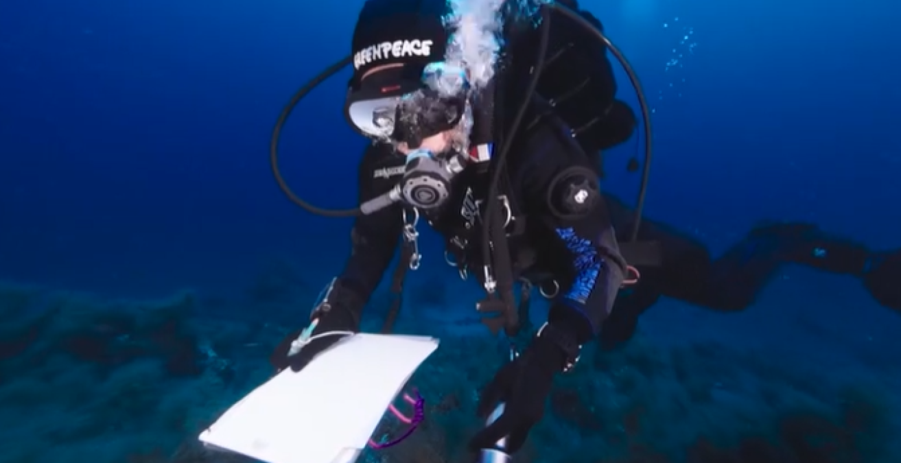 Maldive, al via il recupero dei corpi dei sub italiani - © SkyTg24