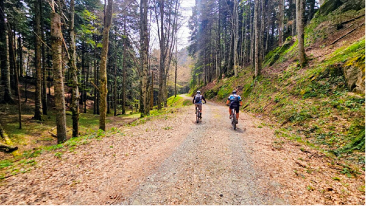 Romagna Selvaggia Gravel, 67 chilometri tra foreste, crinali e strade bianche nel cuore dell’Appennino - 