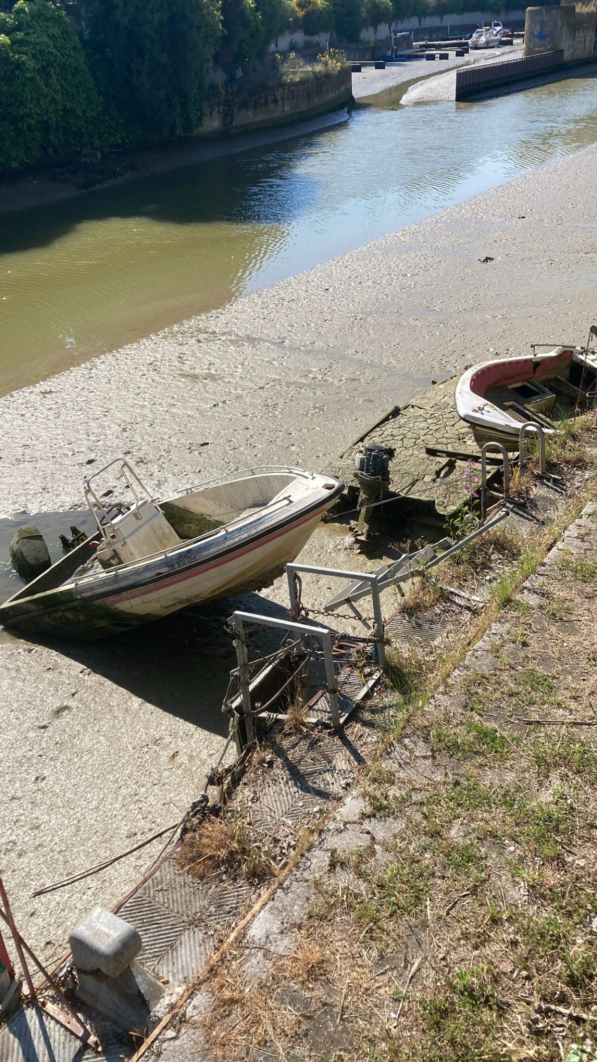 Darsena Cattolica: “Fango e zanzare, serve un intervento subito” - 