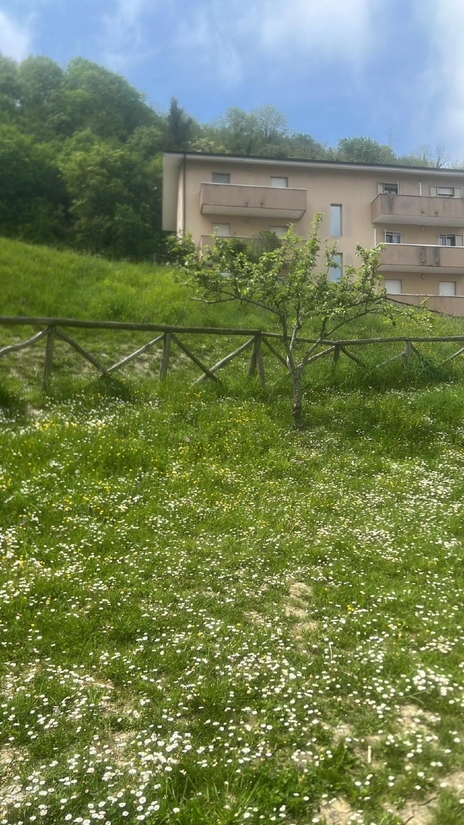 parco montefiore