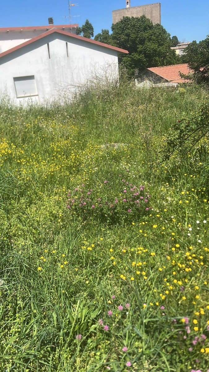 parco montefiore