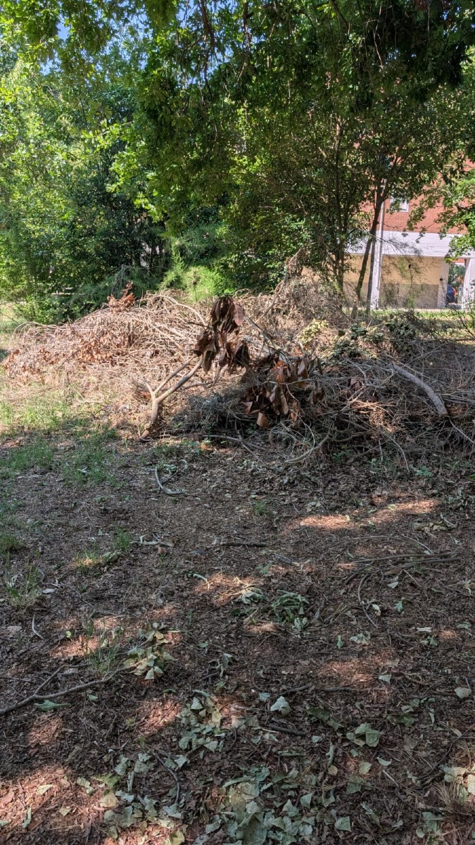 discarica segnalazione