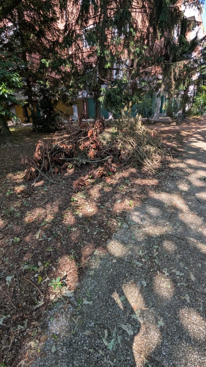 discarica segnalazione