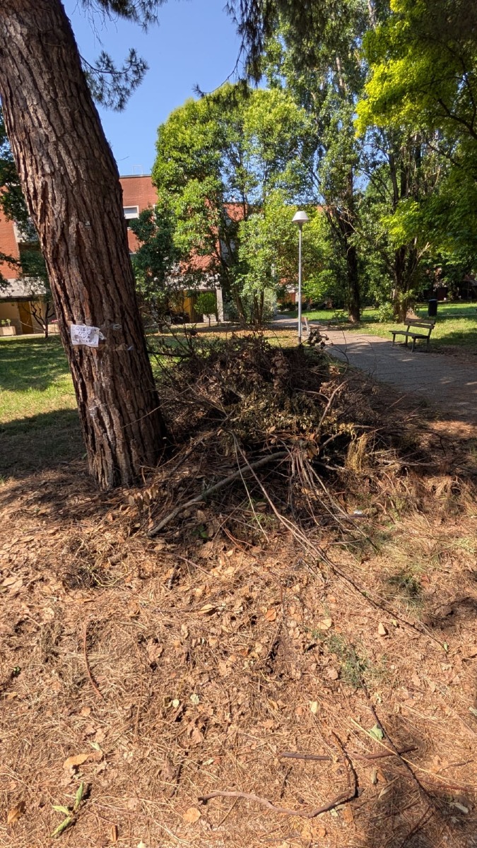 discarica segnalazione