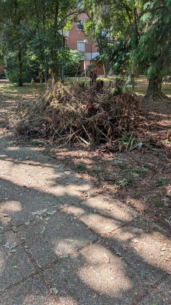 discarica segnalazione