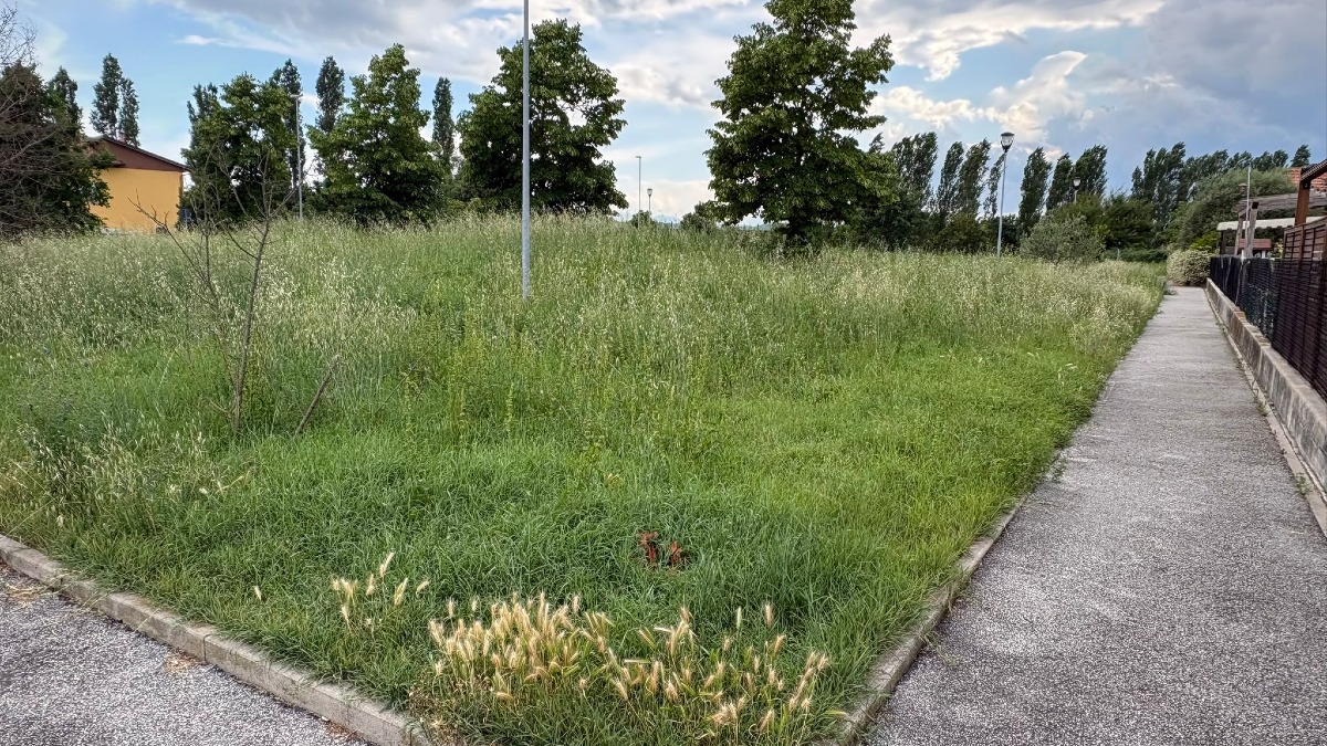 Padulli, Colonnella e Viserba: "Dai ratti all'erba non tagliata, troppe situazioni di incuria e degrado" - Area verde senza manutenzione ai Padulli