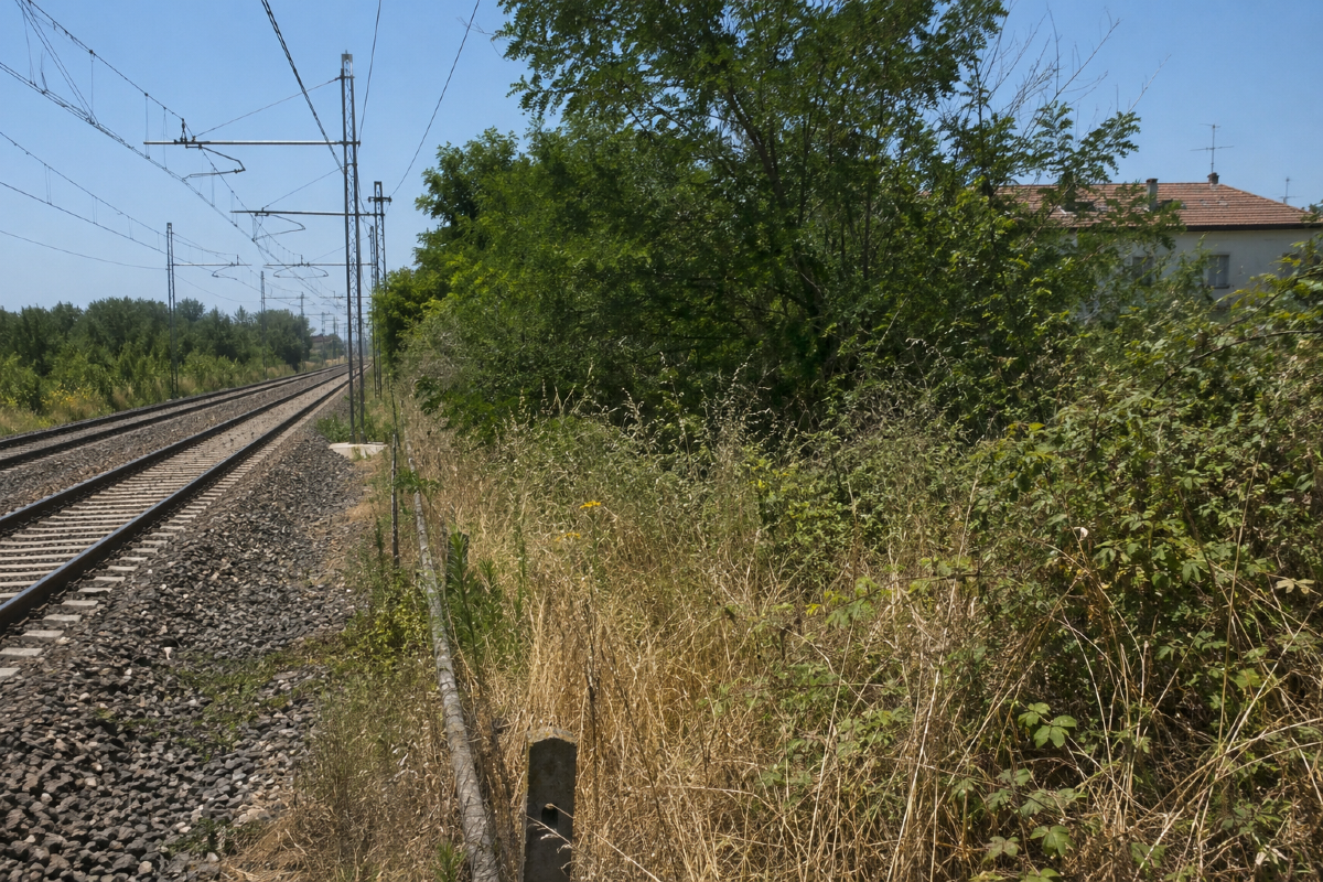 Rimini, vegetazione incolta vicino ai binari: i proprietari dovranno intervenire entro dieci giorni - Immagine di repertorio
