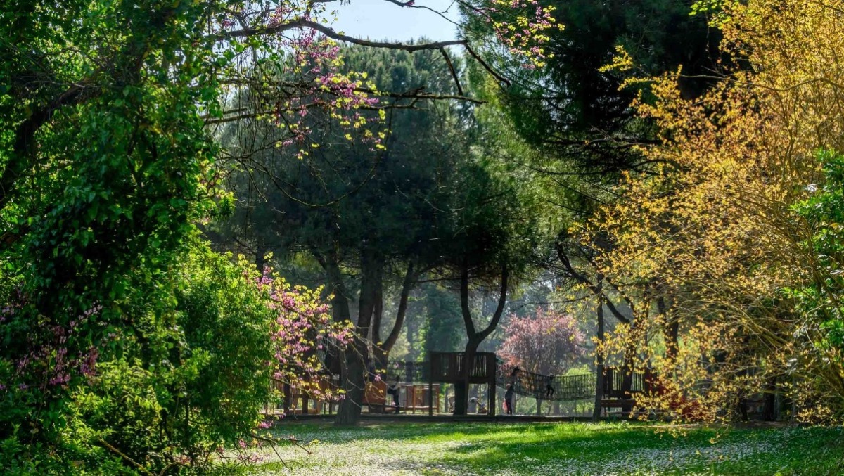 Riccione non si ferma: incontri, festival, sport e spettacoli dal 4 al 7 giugno - 