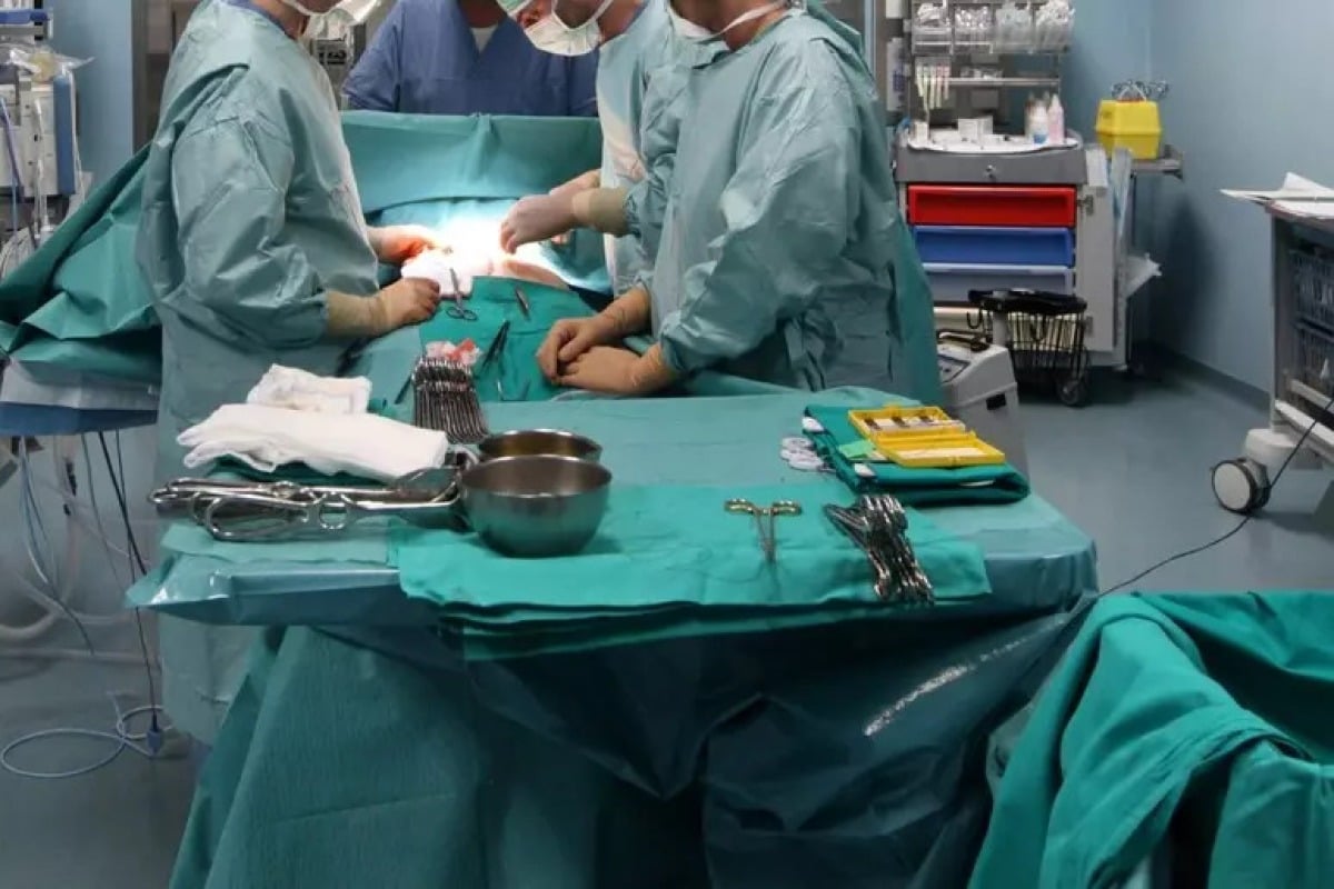 Dalla Sicilia a Rimini per il suo alunno ricoverato: il gesto d’amore di una maestra - 