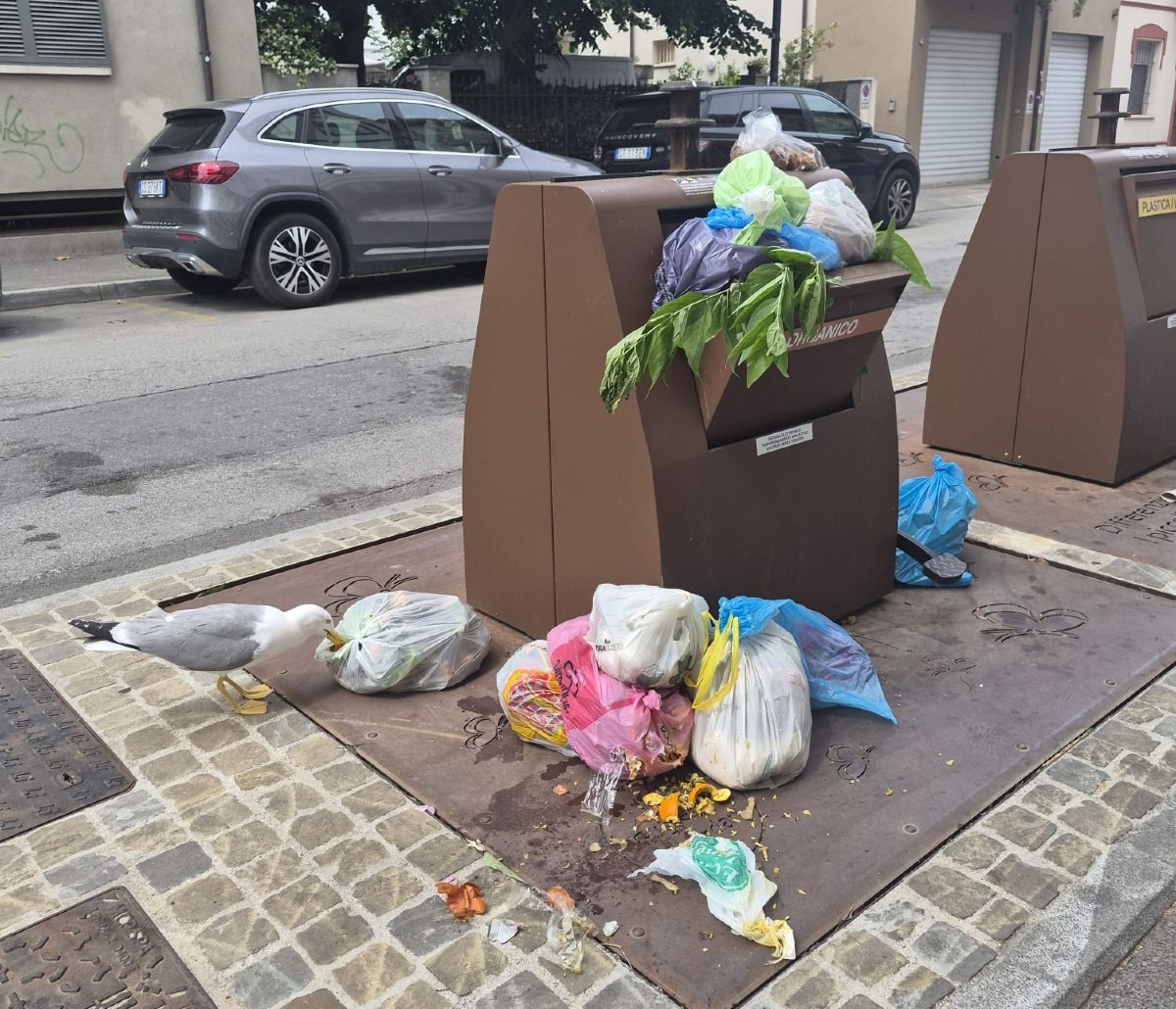 Rifiuti fuori cassonetto in via Oberdan a Rimini, contenitore pieno e area sporca. La segnalazione - 