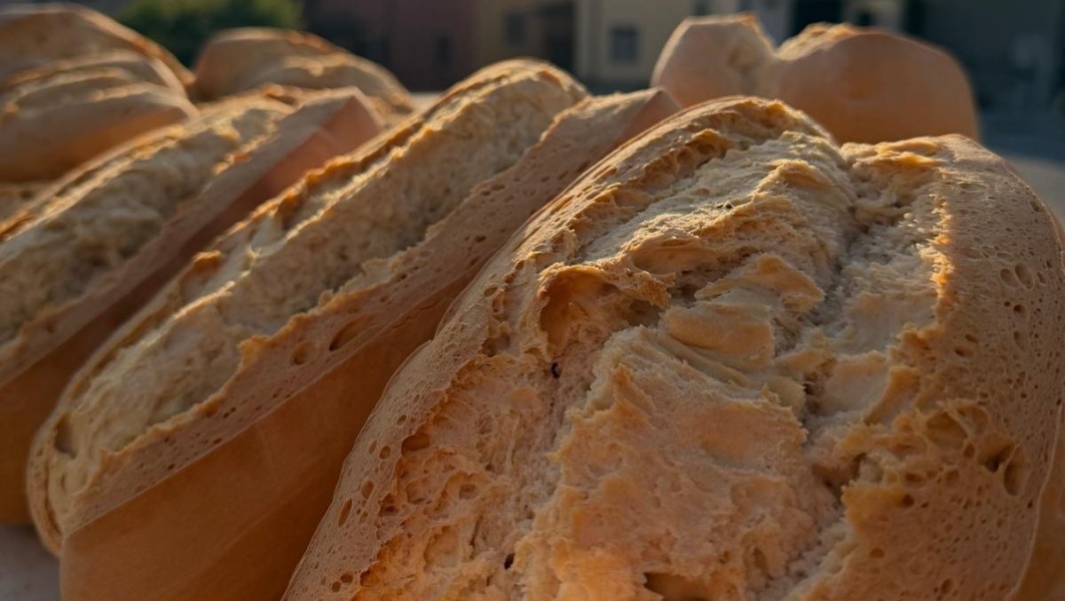 Maiolo, torna la Festa del Pane: due giorni di sapori e di musica - Festa del Pane di Maiolo