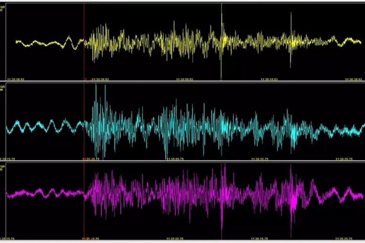 Campi Flegrei, nuova scossa di terremoto nella notte: magnitudo 3.6, paura tra Pozzuoli e Napoli - 
