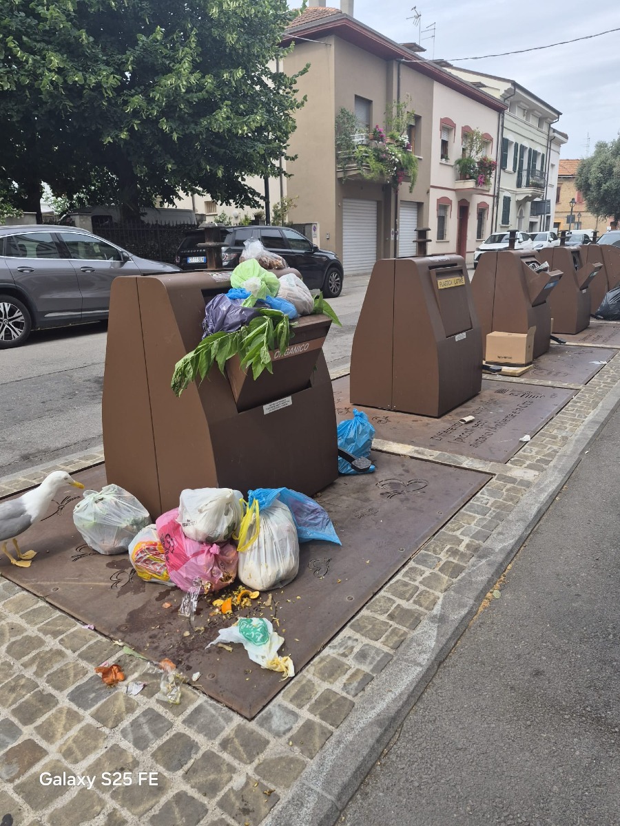 segnalazione rifiuti via oberdan