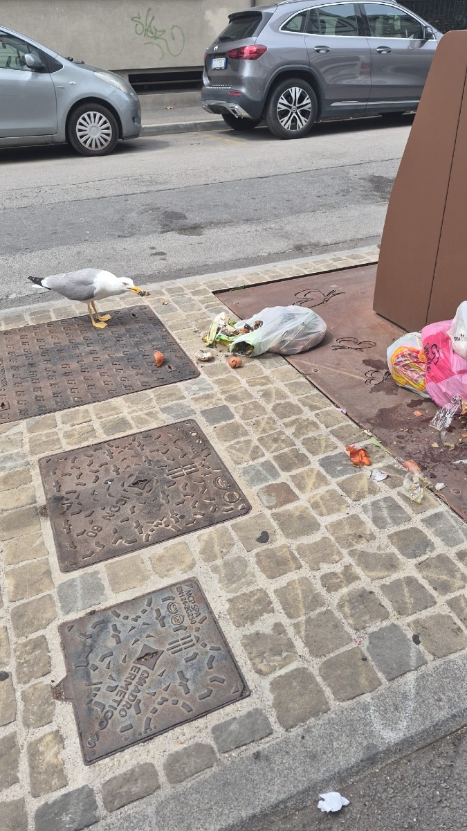 segnalazione rifiuti via oberdan