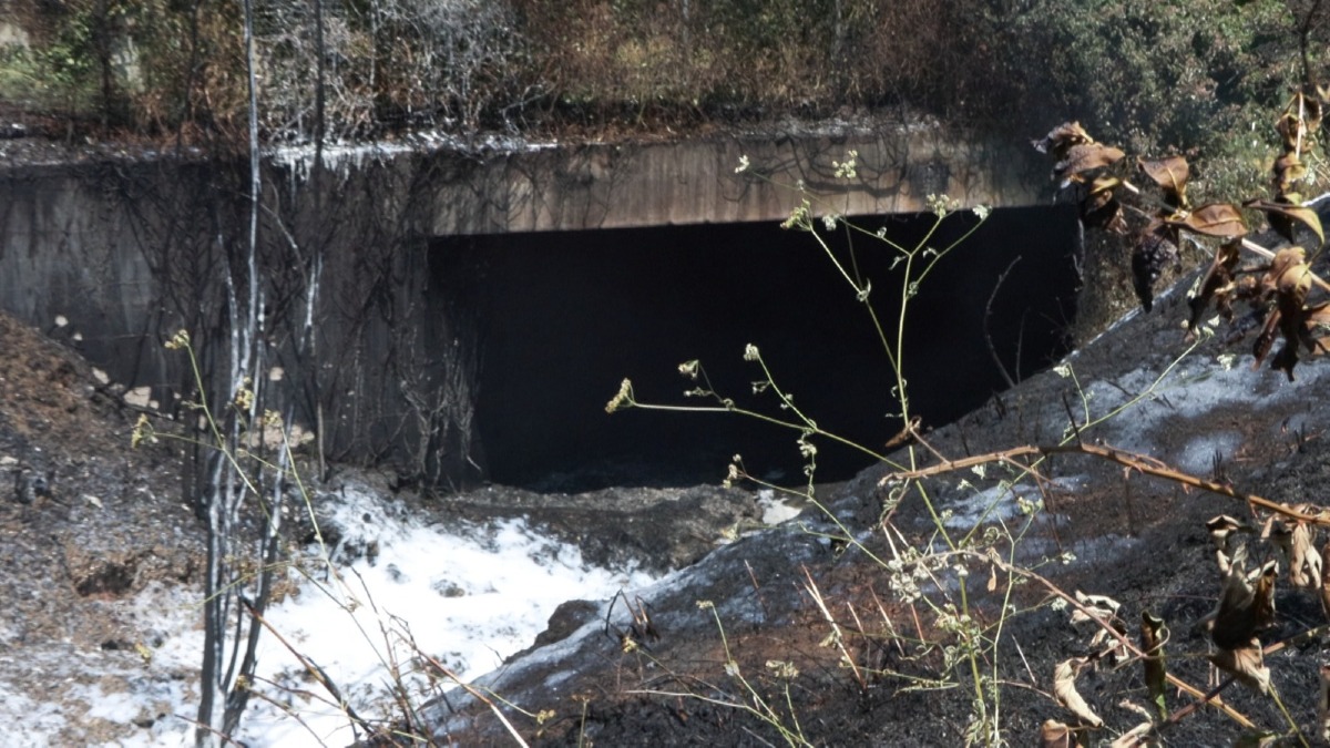 Galleria del 18/06/2026 12:28