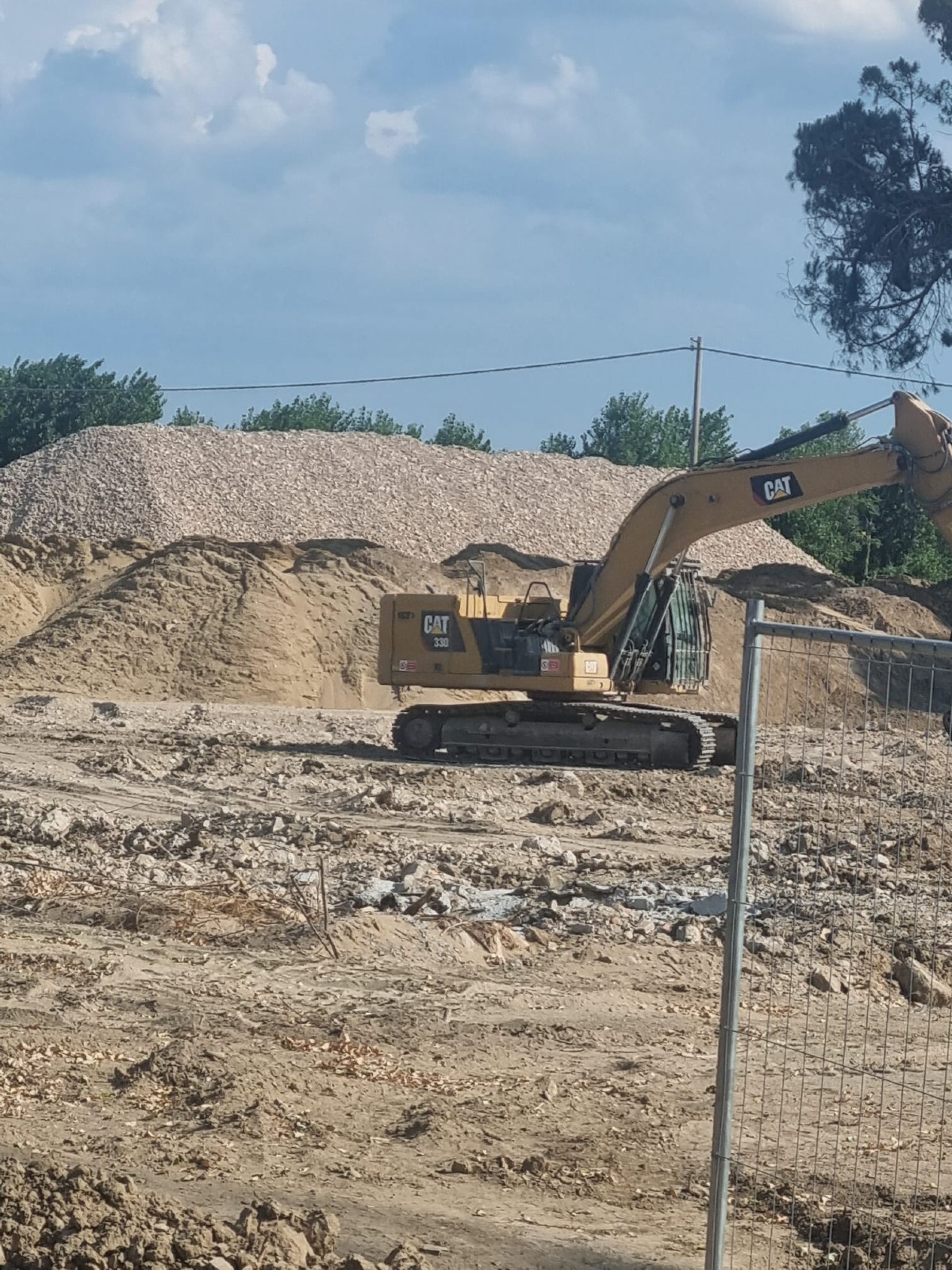 Ex Colonia Mater Dei, la Lipu denuncia: "Alberi abbattuti durante la nidificazione" - 