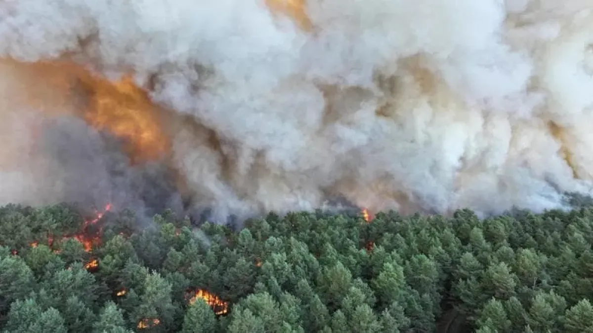 Maxi incendio a Fontainebleau: 800 ettari in fumo a un passo da Parigi - © Afp