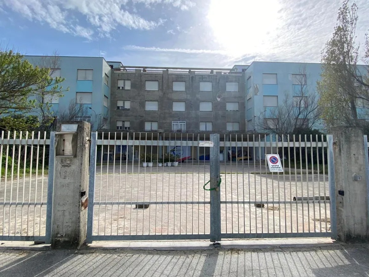 Ex Colonia Mater Dei, il Comune chiarisce sui tagli degli alberi: “Intervento basato su perizie e autorizzazioni” - 