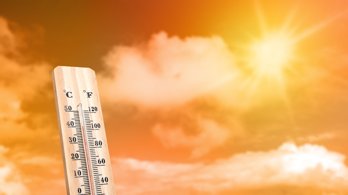 Ondata di caldo, l'Italia verso il picco: bollino rosso in 7 città da domani - 