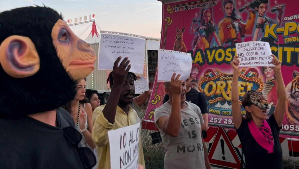 Rimini, nuova protesta davanti al circo: "Basta spettacoli con gli animali" - 