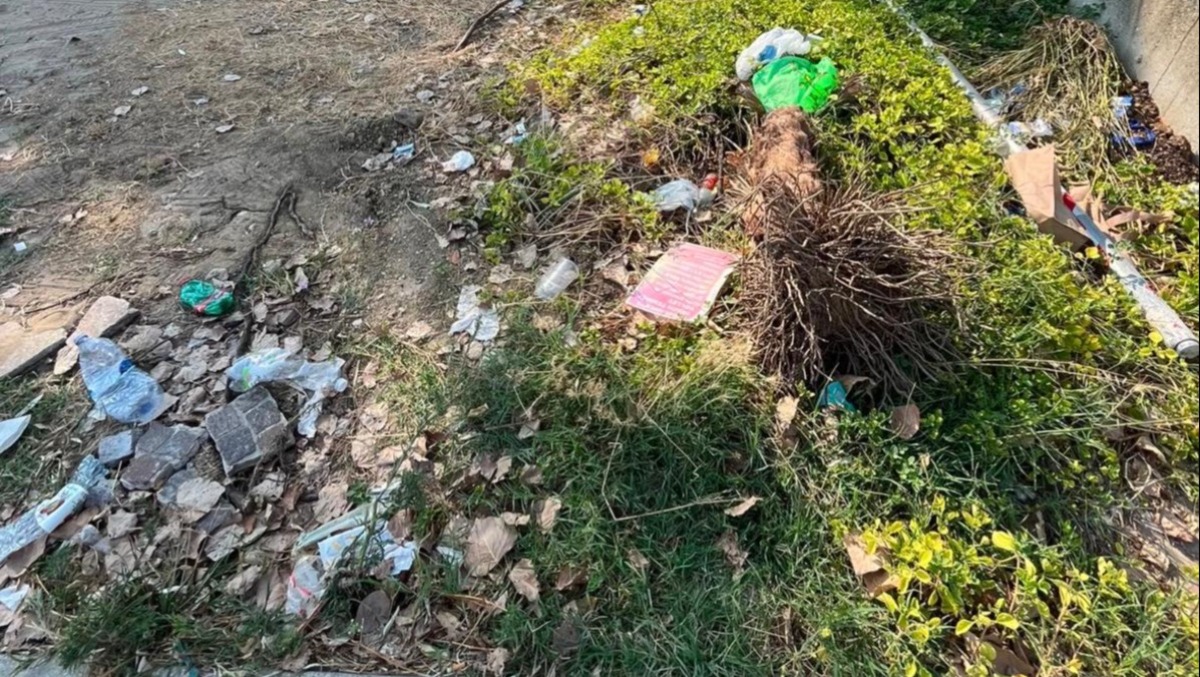 Riccione, consigliere denuncia: "Rifiuti lungo la passeggiata turistica e nei parcheggi" - 