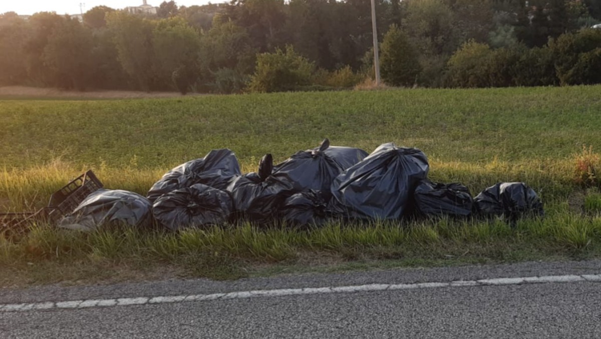 Misano, linea dura contro i "furbetti" dei rifiuti: sanzioni inasprite e più controlli - Rifiuti abbandonati a Misano Adriatico