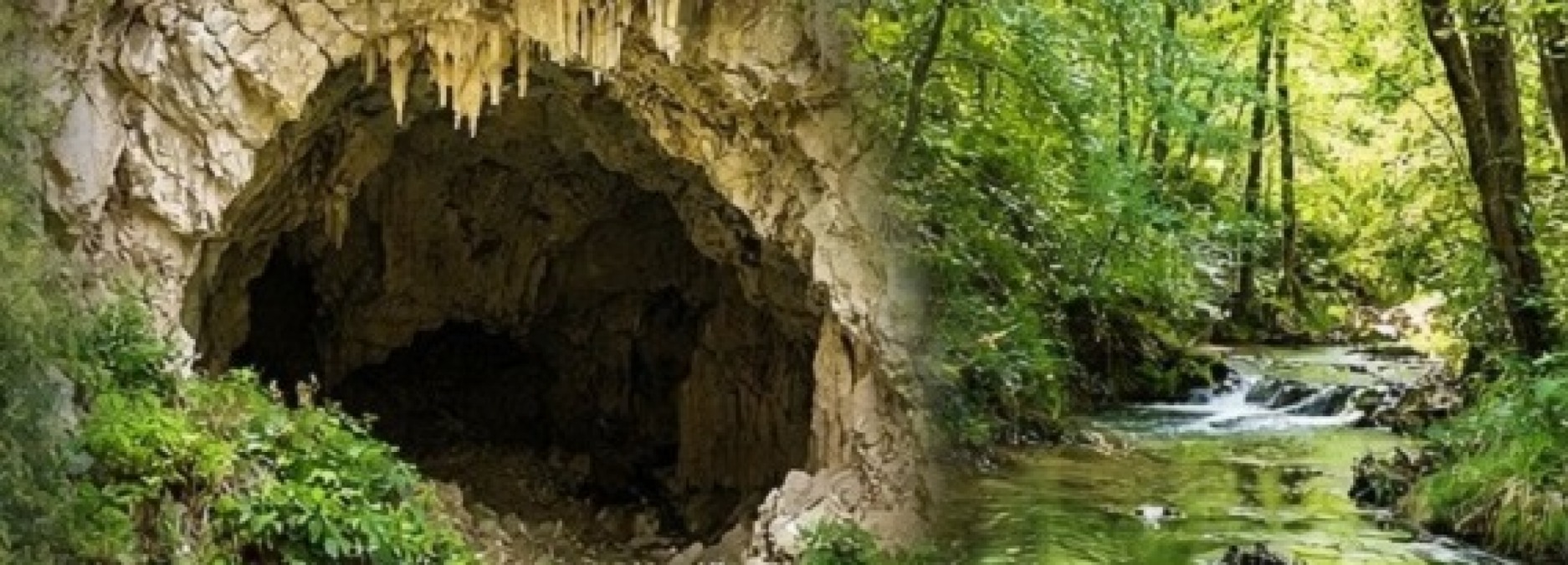 Nasce la Riserva naturale Bosco di Albereto e Grotta di Pasqua: riapre il gioiello carsico di Montescudo-Monte Colombo - 