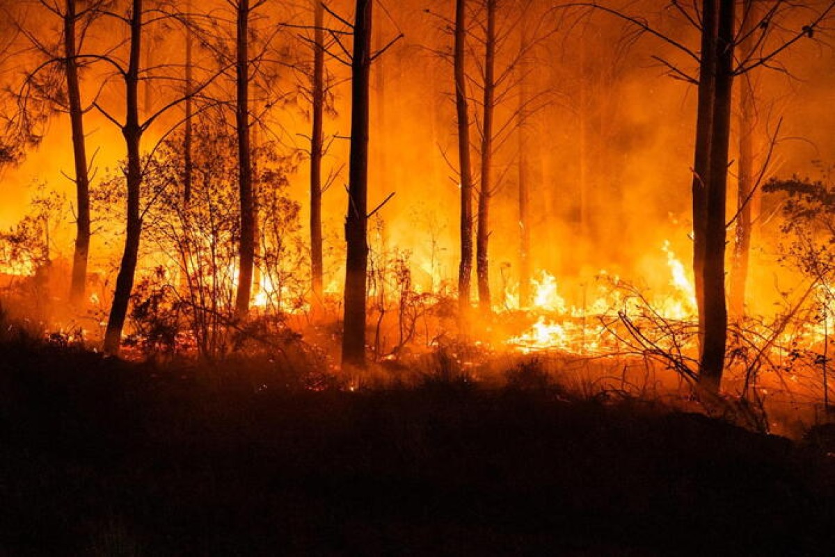 Incendi tra Francia e Spagna, oltre 200mila evacuati - 