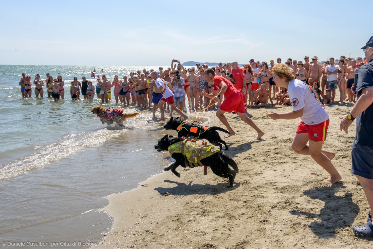 Sicurezza in mare, nei comuni della Riviera attività e simulazioni - 