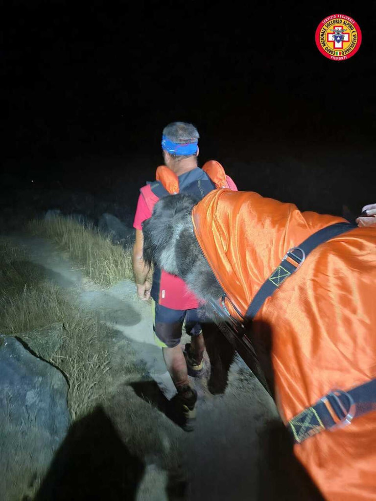 Cane sfinito sul sentiero: scatta il salvataggio notturno per gli escursionisti e l'animale - Cane bloccato a 2.100 metri salvato a spalla dai soccorritori 