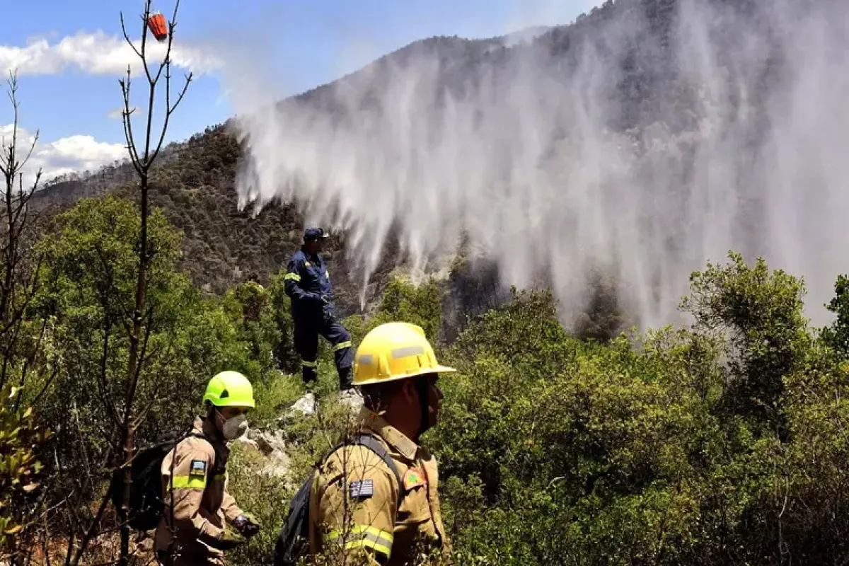 Incendi in Grecia, due vigili del fuoco morti a Creta - © Ansa