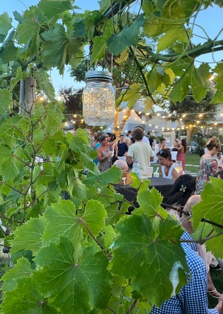 La serata e le sue luci.