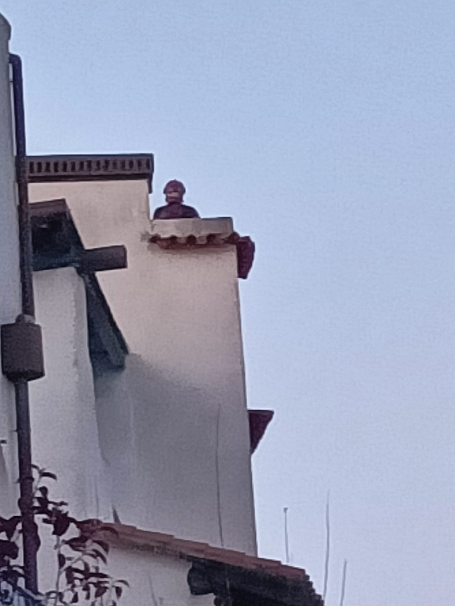 Foto Amato Ballante
