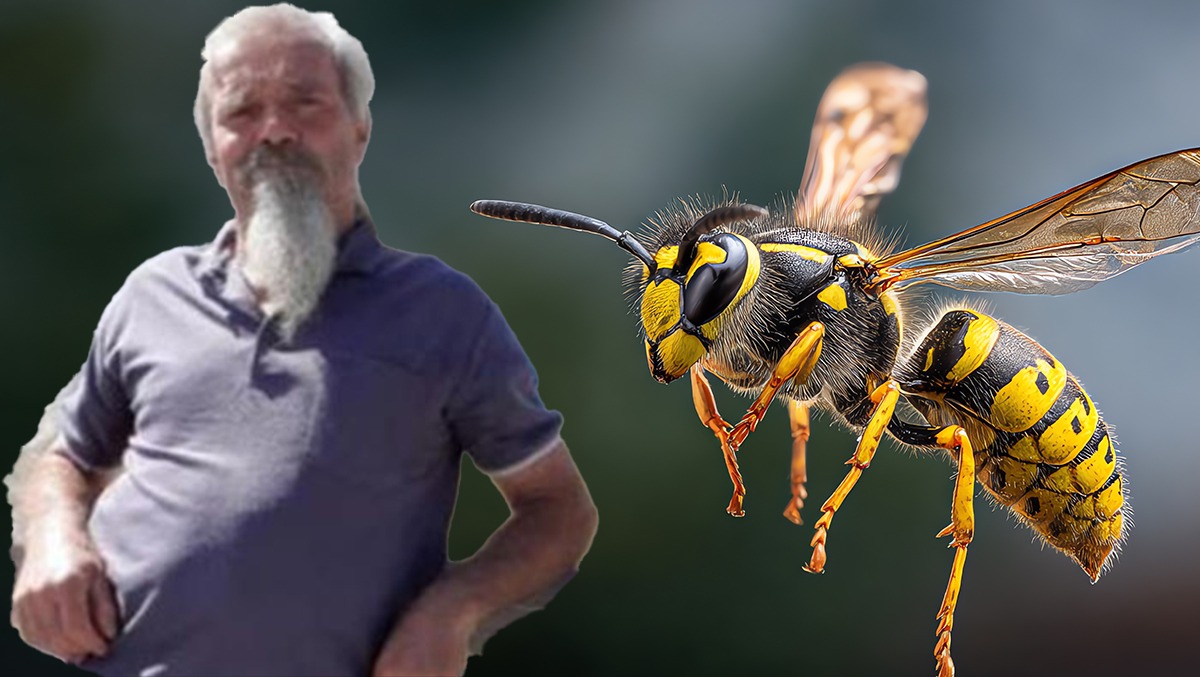 Morto dopo la puntura di un calabrone mentre lavorava nell'orto di casa - Manuel Mongini