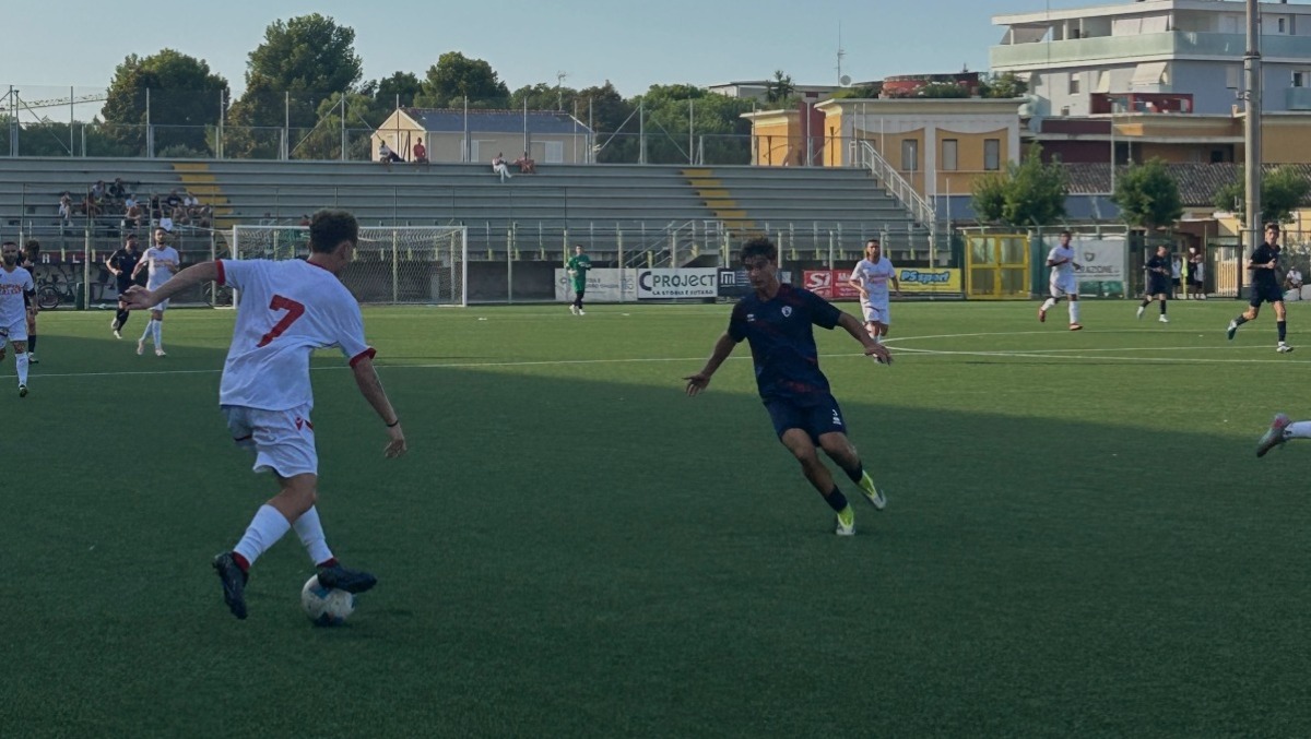 Rimini, buona la prima: quattro gol alla Vigor Senigallia. Segnano Zannoni, Cicarevic e Vitucci - 