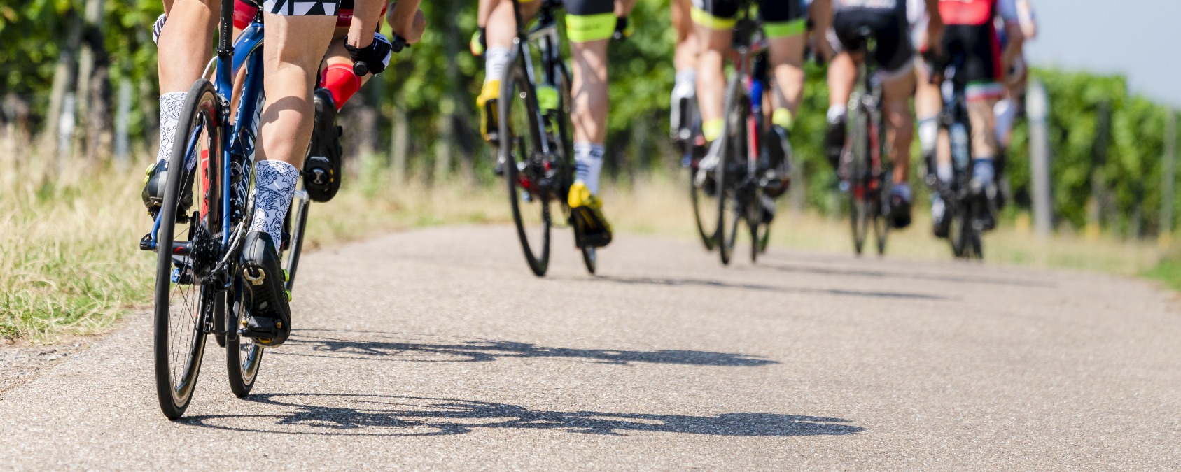 Litiga coi ciclisti e li investe: 'Chiedo scusa ai familiari' ammetto la colpa - 