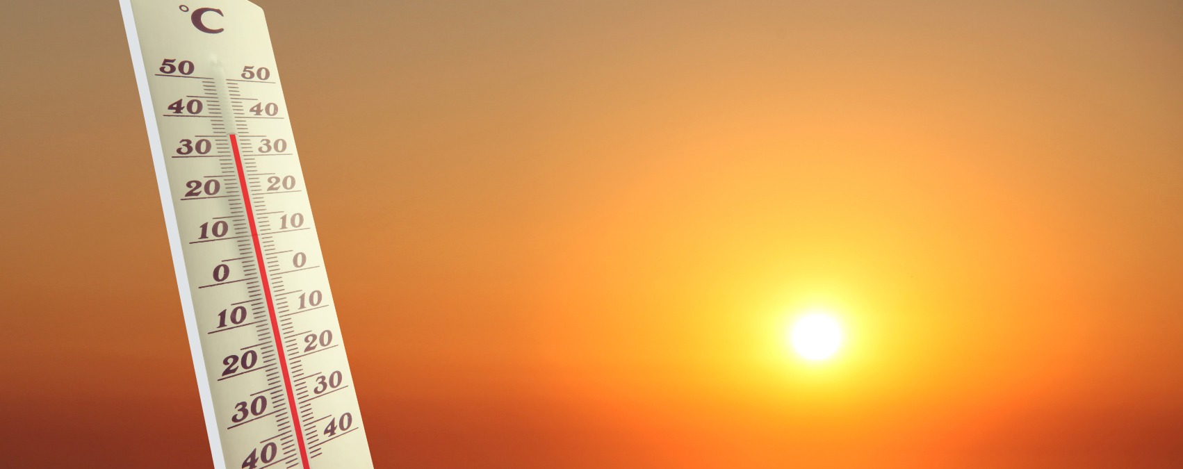 Estate da record: giugno e luglio i più caldi di sempre in Europa occidentale - 